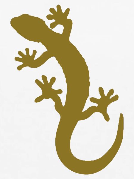 gecko
