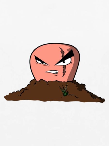 Wurm