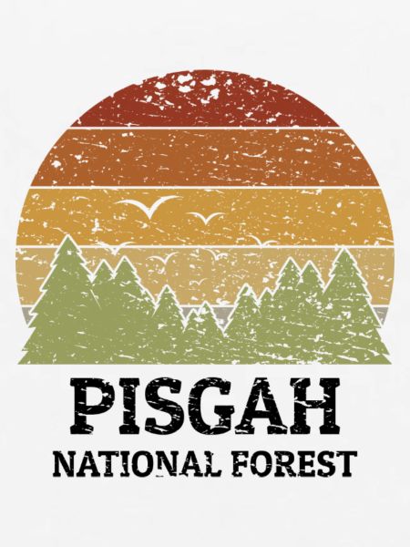 Pisgah National Forest