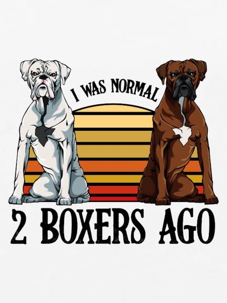 boxer