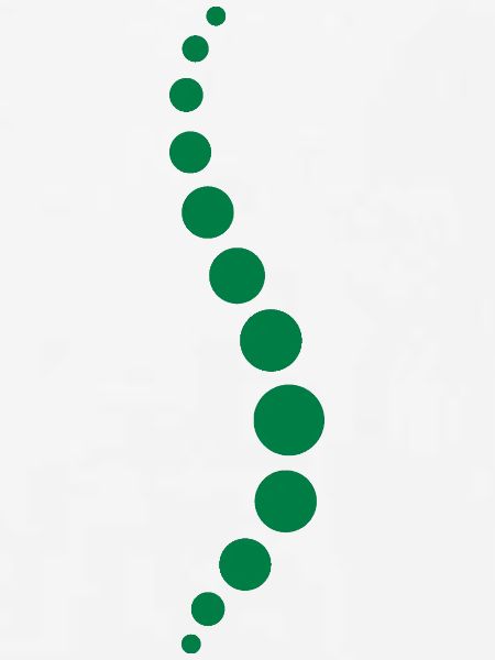 Physio 8 Logo