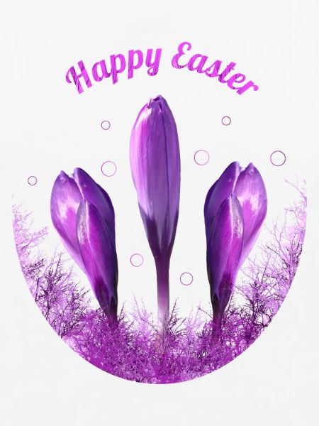 Krokusse Frohe Ostern