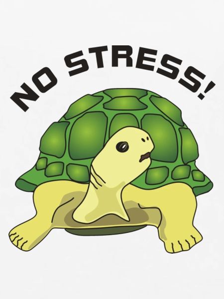 no stress