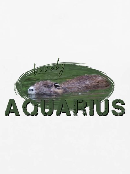 Wassermann Sternzeichen Wassermann Aquarius