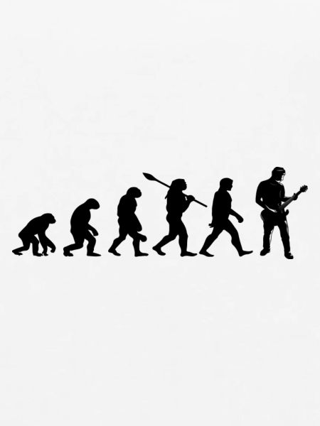 Evolution-Gitarrist