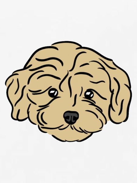 Doodle Puppy
