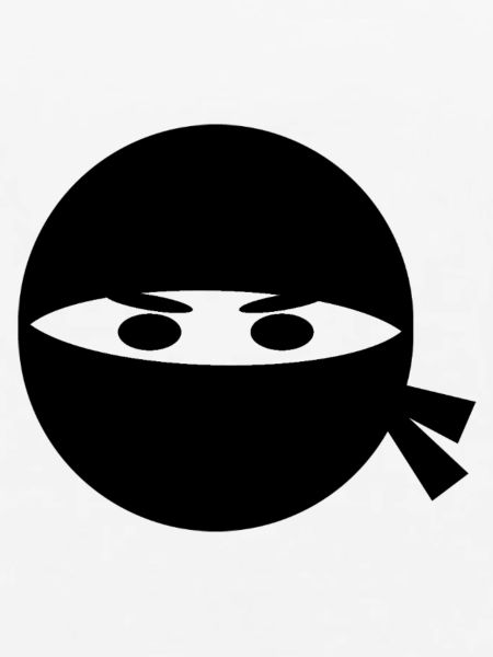 Ninja Kopf
