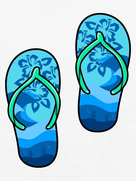 Flip Flops