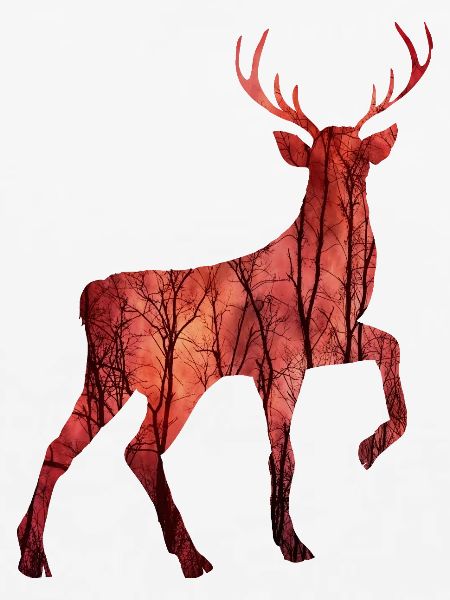 Hirsch