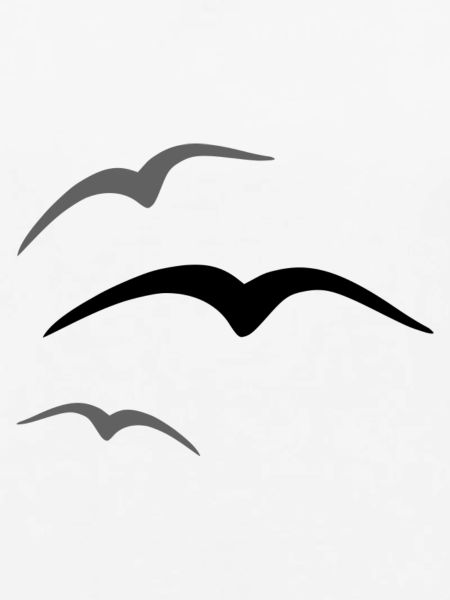 Vogel 3