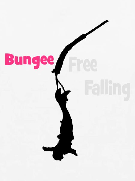 Bungee Fall