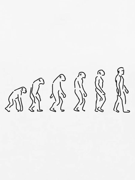 Die Evolution Silhouette Geschenk Shirt