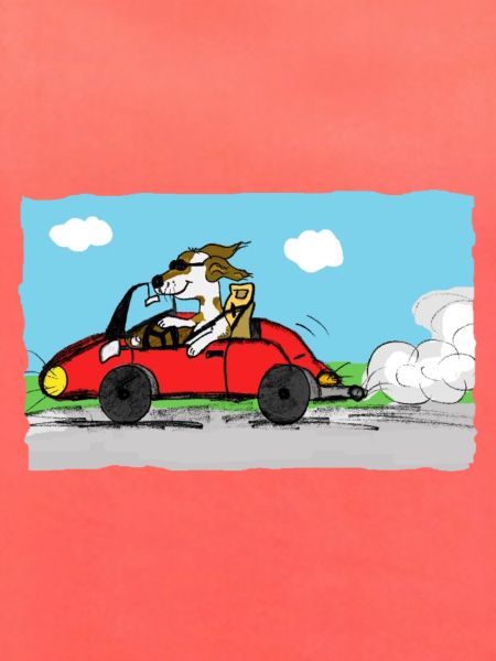 rennfahrer