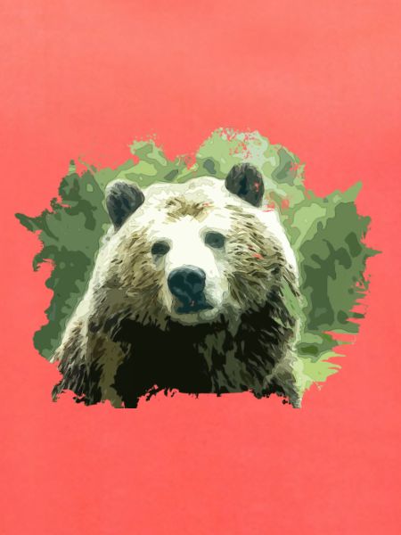 Bär