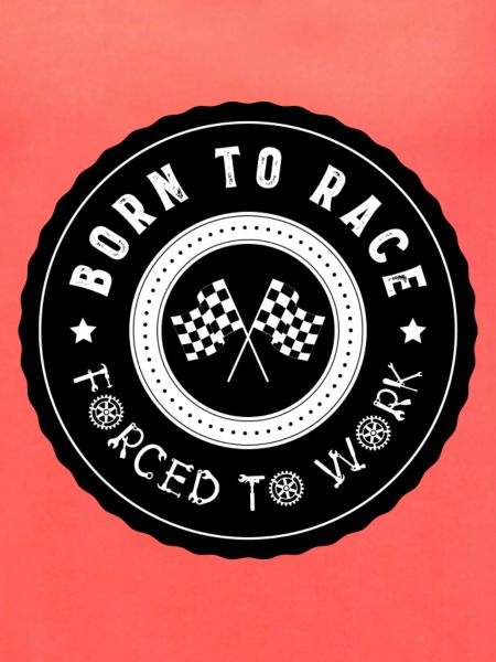 BornTo Race 2