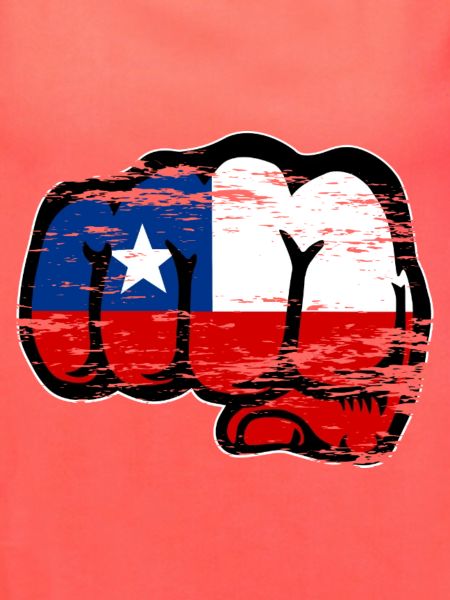 Chile Flagge Faust used