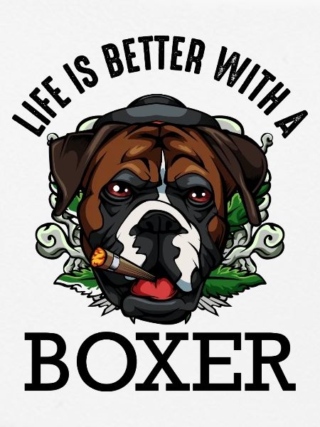 Boxer