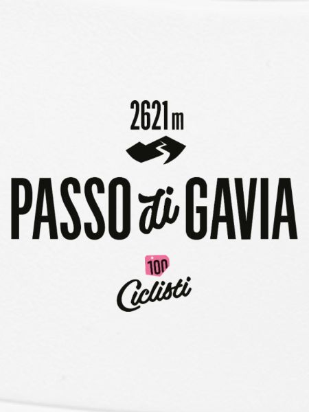 Gavia Pass
