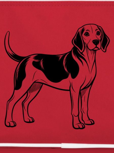 Beagle