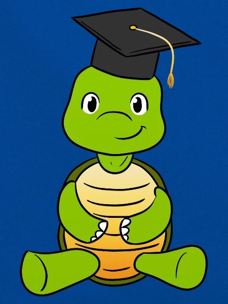 Graduation Turtle