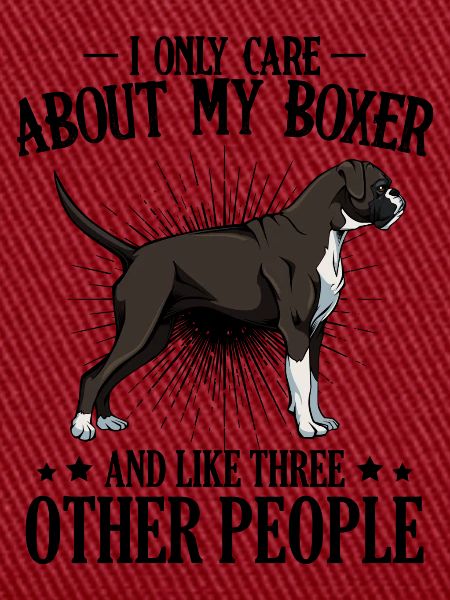 Boxer