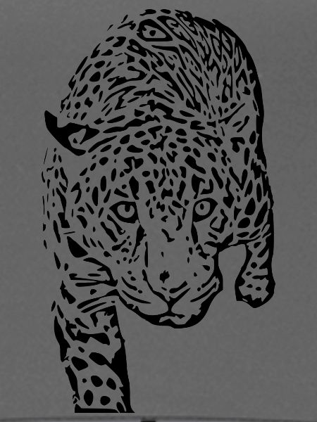 leopard schwarz schwarzer Leopard