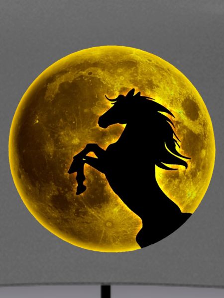 Vollmond Pferd
