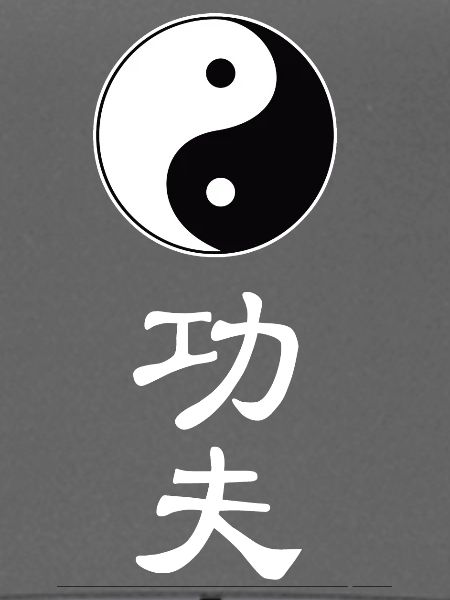 tao kung fu
