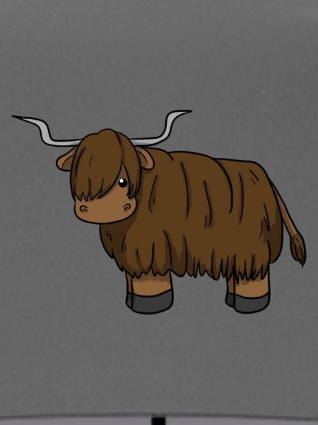 Scottish Highland Cattle