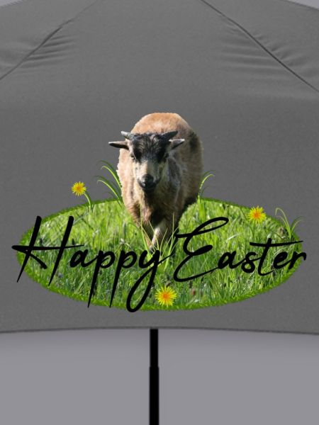 Easter Happy Easter
