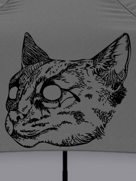 Wildkatze