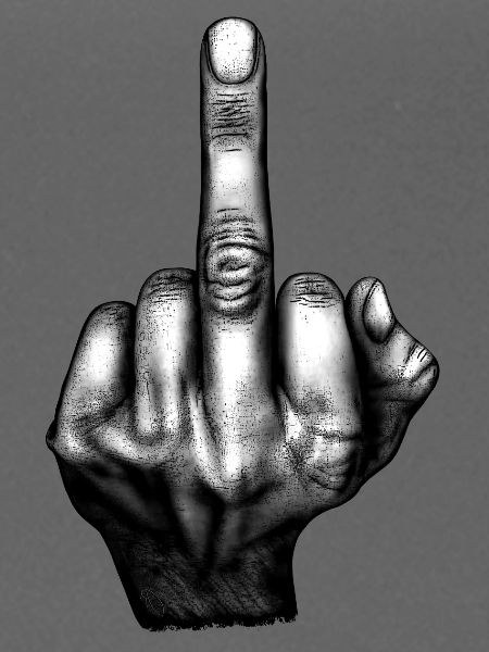 Flip the Bird