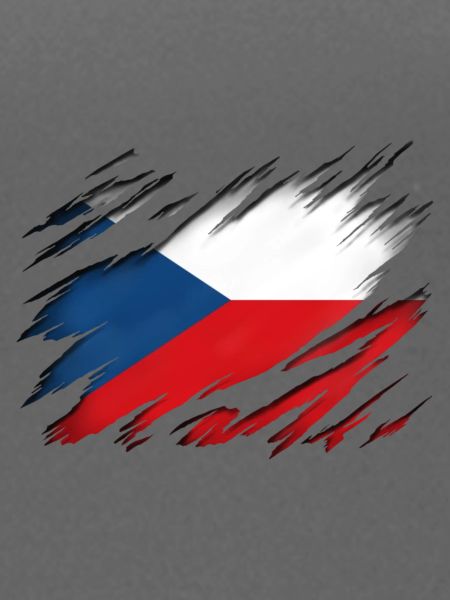 Tschechische Flagge