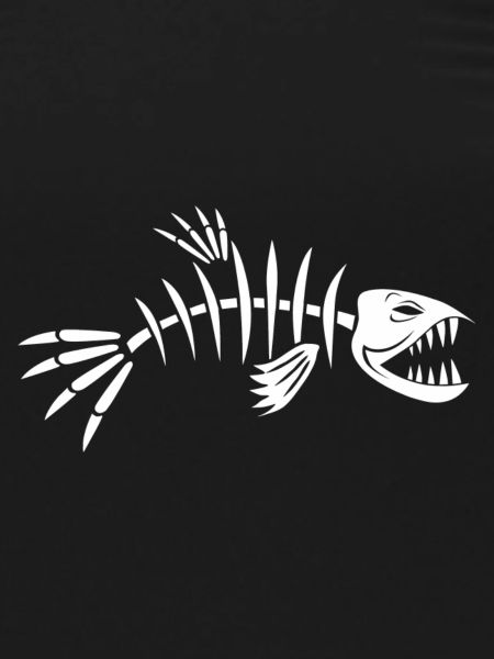 Fischgräte Fisch Skelett