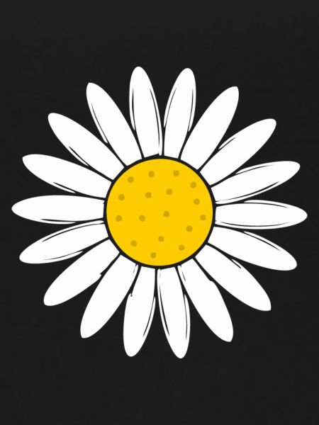 Gänseblümchen Blume