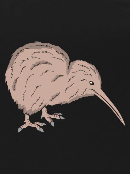 Kiwi Vogel