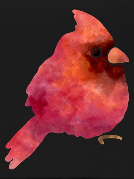 Süsser Vogel