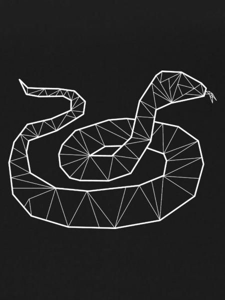 Geometrische Python Würgeschlange