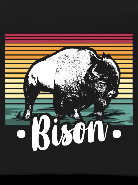Zotteliger Bison Steppenbewohner