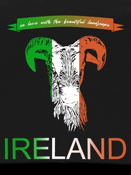 Irland Ireland Schafe