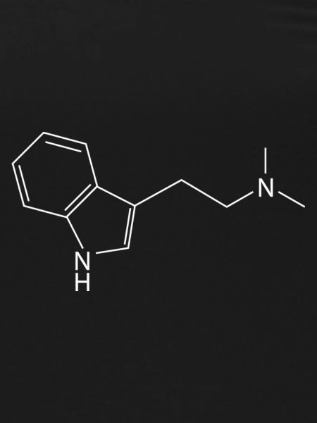 DMT Molekül Ayahuasca Dimethyltrypthamin