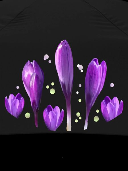 Krokusse