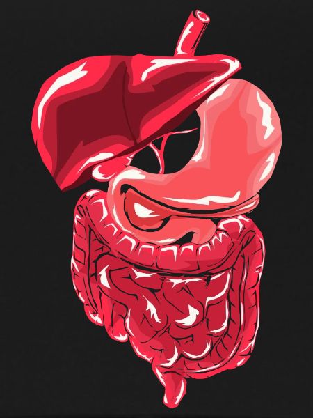 Flinker Gastroenterologe Endoskopie