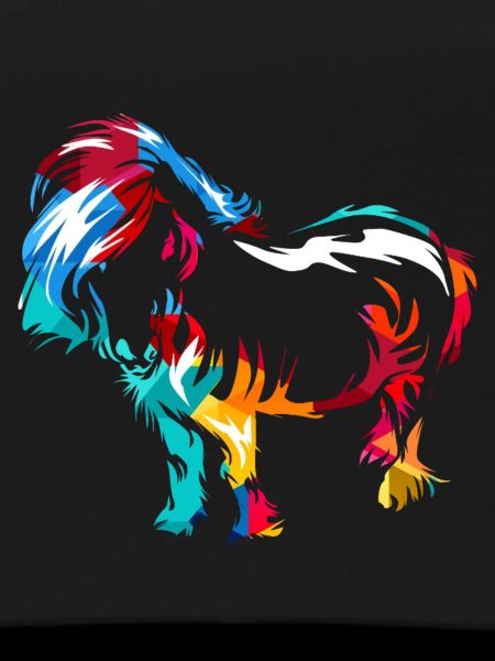 Robustes Shetlandpony Reitstallfreund