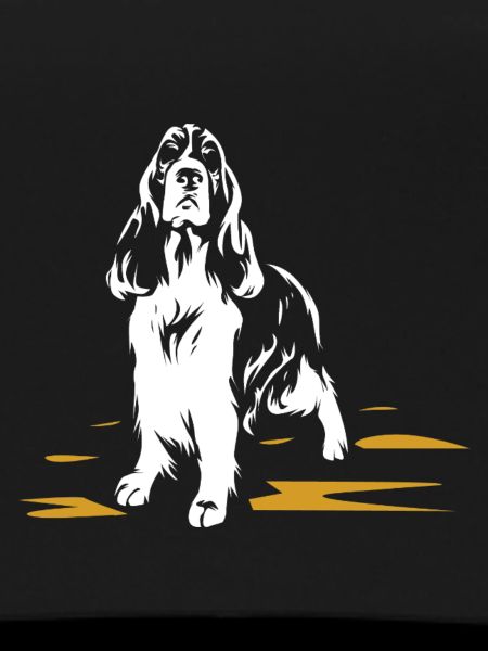 Flinker Springer Spaniel Wasserjagd