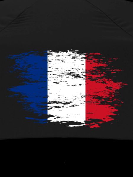 Frankreich Flagge used