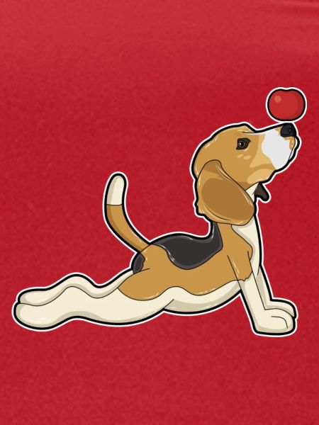 Beagle