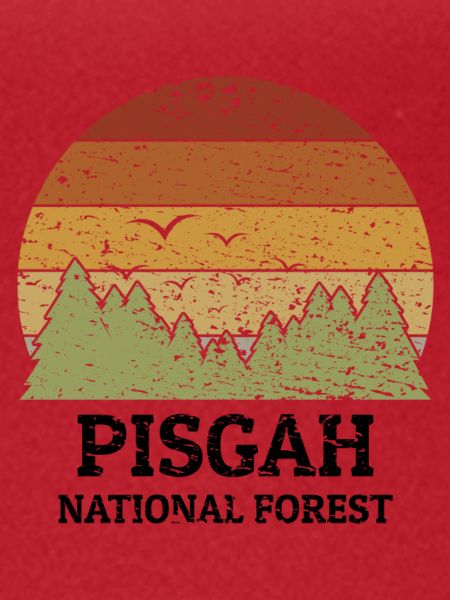 Pisgah National Forest