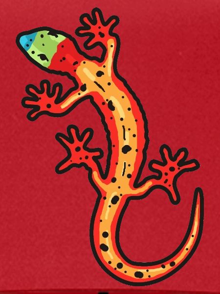 gecko bunt