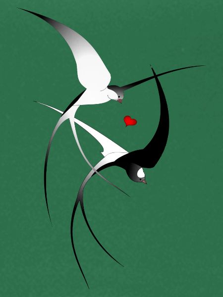 Vogel Schwalben